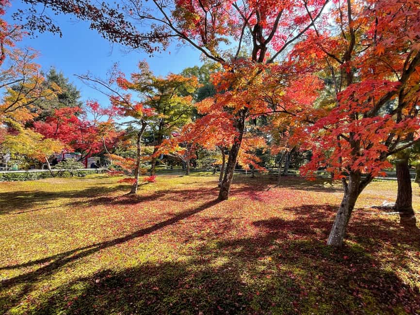 Kyoto: Kinkaku-ji Temple & Serene Garden Tour with Tickets - Key things you’ll love about this Kyoto temples tour