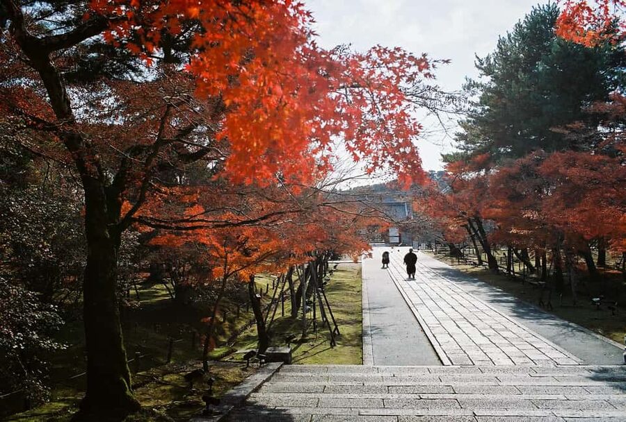 Kyoto: Kinkaku-ji Temple & Serene Garden Tour with Tickets - Who this Kyoto temples tour suits best