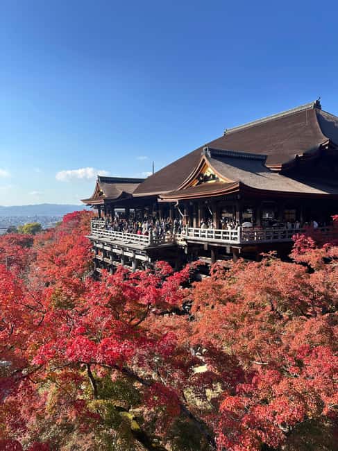 Kyoto: Kiyomizudera, Sanjusangendo, Kodaiji, and Gion. - A small-group Kyoto day, starting at Shichijo Station