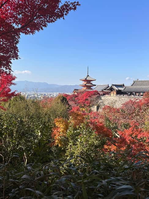 Kyoto: Kiyomizudera, Sanjusangendo, Kodaiji, and Gion. - Sanjusangendo’s 1,001 Kannon statues in a hall that stretches