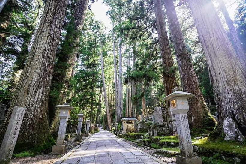 Kyoto: Koyasan Private Day Trip with Guide and Lunch - Shojin Ryori lunch: vegan food with a real sense of place