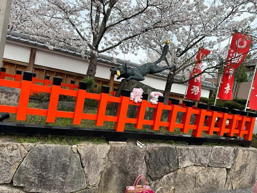 Kyoto: Kyoto Flexible Private Tour By Fluent English Driver - Key highlights worth your attention