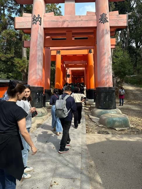 Kyoto: Kyoto Flexible Private Tour By Fluent English Driver - How the private ride keeps Kyoto doable from Osaka or Kobe