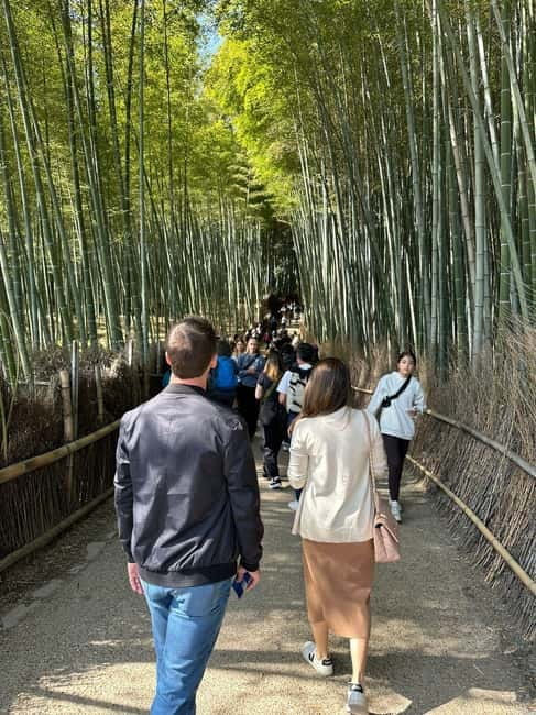 Kyoto: Kyoto Flexible Private Tour By Fluent English Driver - The Kyoto pacing plan: about 1 hour per major stop