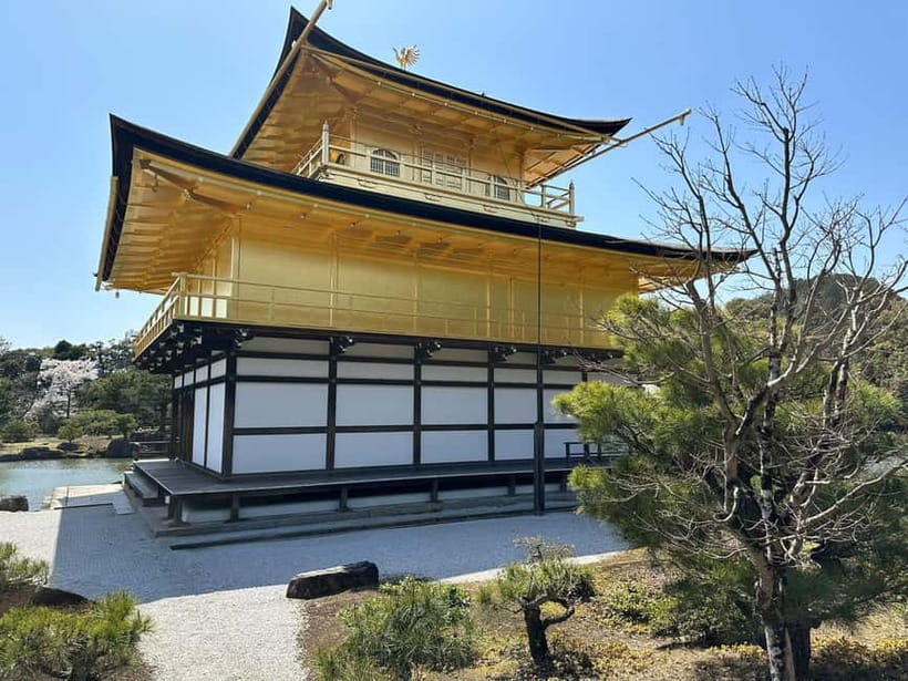 Kyoto: Kyoto Flexible Private Tour By Fluent English Driver - Fushimi Inari Taisha torii gates, photos, and choosing your route