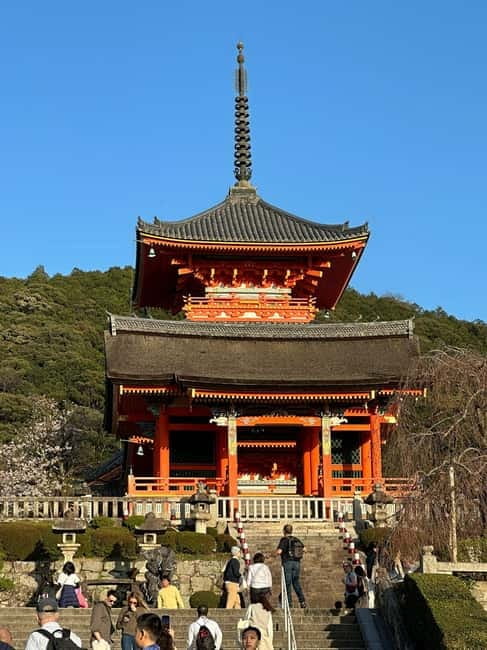 Kyoto: Kyoto Flexible Private Tour By Fluent English Driver - Kiyomizu-dera terrace views without the guesswork