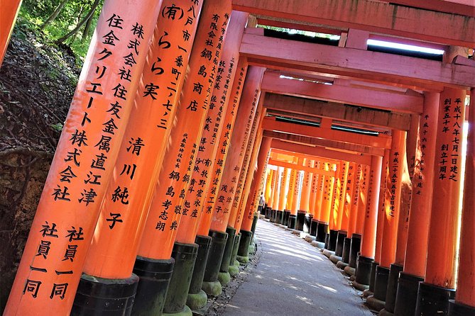 Kyoto Late Bird Walking Tour - Stop 1: Fushimi Inari-taisha and the torii maze effect