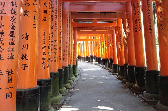 Kyoto Lazy Bird Walking Tour - Kinkaku-ji Temple and the Golden Pavilion, With the Entrance Fee Planned In