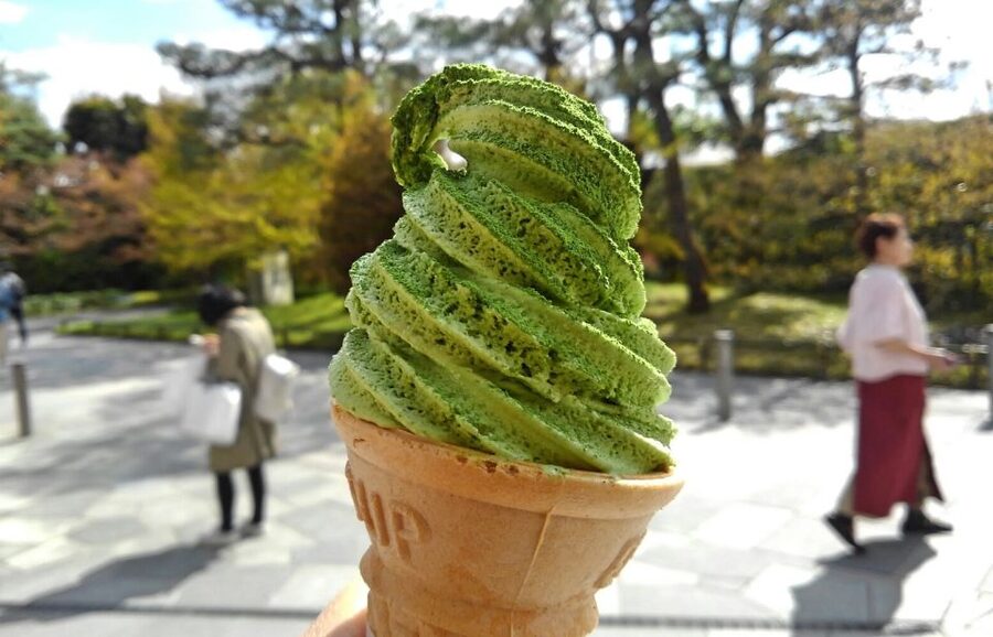 Kyoto Matcha Green Tea Tour - Who should book this Uji matcha tour, and who should skip it