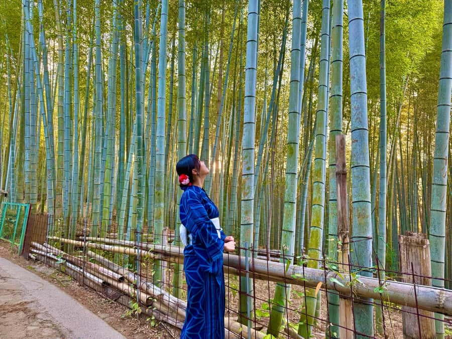 Kyoto Morning Highlights Tour: Fushimi, Kiyomizu-dera & Gion - Kasuga Grand Shrine: the Shinto prestige you get time to notice
