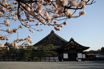 Kyoto Morning Tour from Kyoto or Osaka