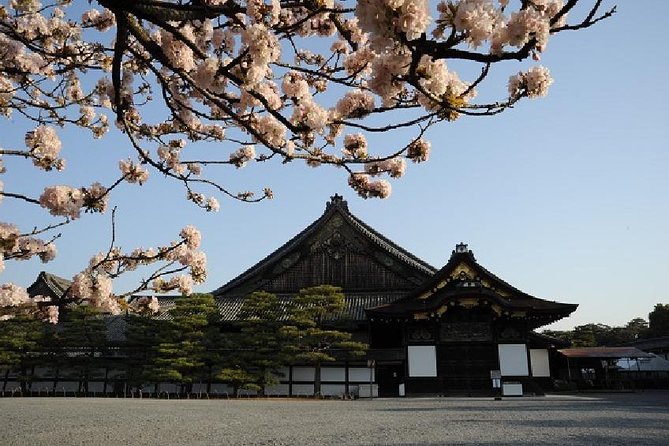 Kyoto Morning Tour from Kyoto or Osaka - Meeting at Kyoto Avanti and riding in comfort