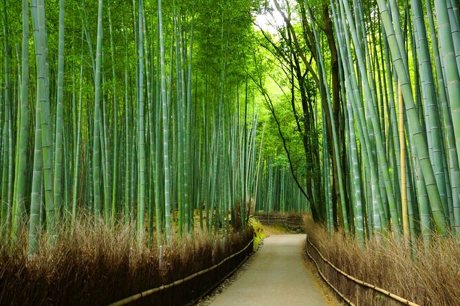 Kyoto Morning Tour with English Speaking Guide - Arashiyama Bamboo Forest: the quiet, photogenic walk