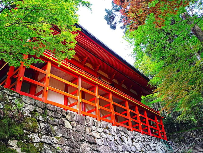 Kyoto: Mount Hiei Guided Tour – Mother of Japanese Buddhism - Cable Car Up Mount Hiei, Then Straight Into Enryakuji