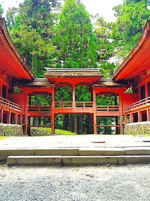 Kyoto: Mount Hiei Guided Tour – Mother of Japanese Buddhism - Saitō Area Cedar Forests, Shakadō, and Ninai-dō