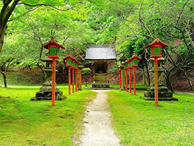 Kyoto: Mount Hiei Guided Tour – Mother of Japanese Buddhism - Tōtō Area: Konpon Chūdō and the Eternal Flame