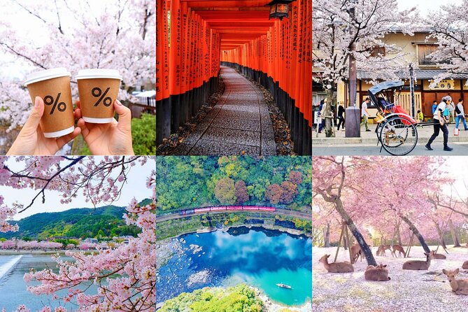 Kyoto-Nara Adventures Private Tour With Hotel Pick Up - Key Things to Know Before You Go