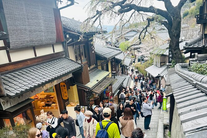 Kyoto-Nara Adventures Private Tour With Hotel Pick Up - English Speaking Driver, Driver-Guide vs Tour Guide