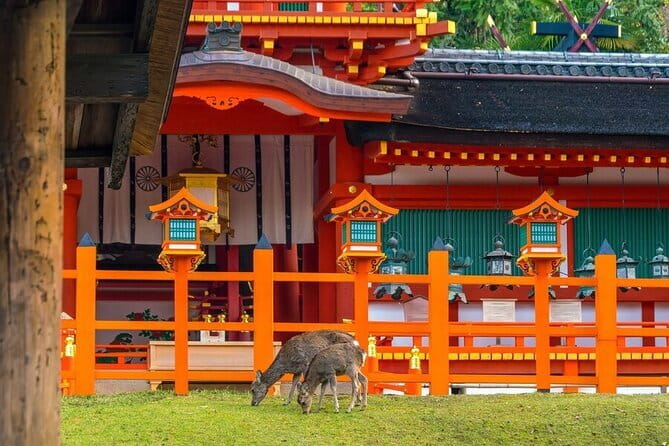 Kyoto & Nara Day Tour: Golden Pavilion, Fushimi Inari & Deer Park - Nara Deer Park and Todaiji’s Giant Buddha: The Emotional Payoff