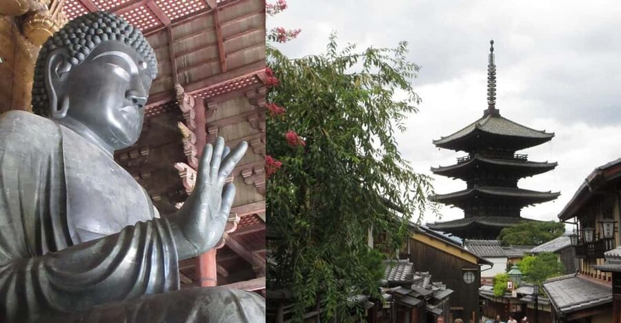 KYOTO-NARA: Giant Buddha Deer Pagoda "Geisya" (Italian, full day) - Deer, cookies, and your guide’s practical rhythm