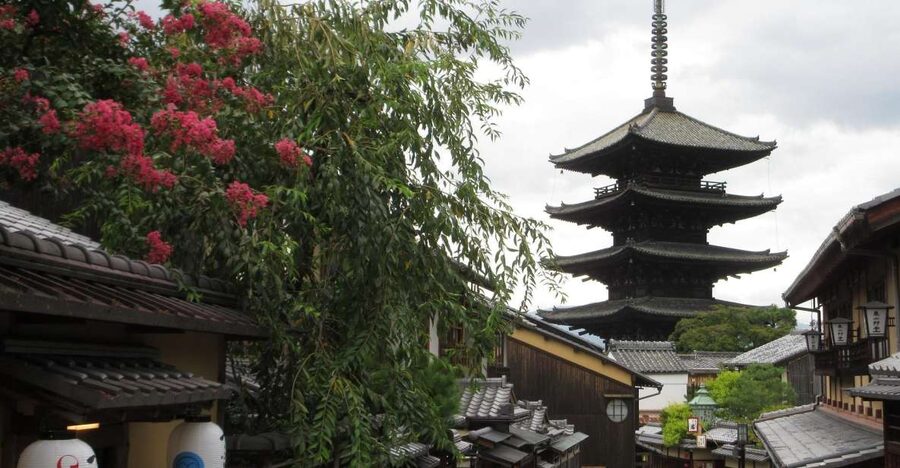 KYOTO-NARA: Giant Buddha Deer Pagoda "Geisya" (Italian, full day) - Italian guidance that makes temples feel understandable