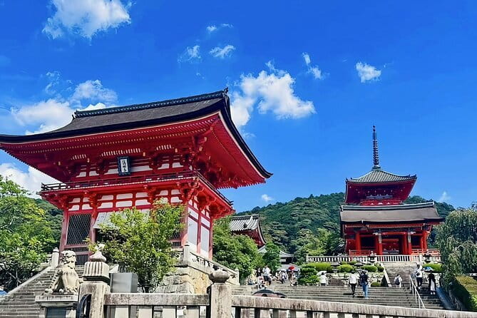Kyoto&Nara&Osaka: One day private Customized Car tour - Communication that actually reduces hassle