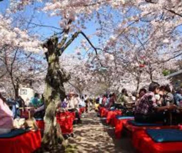 Kyoto & Nara Private Customized, Guided Tour - Should you book this Kyoto and Nara private customized guided tour?
