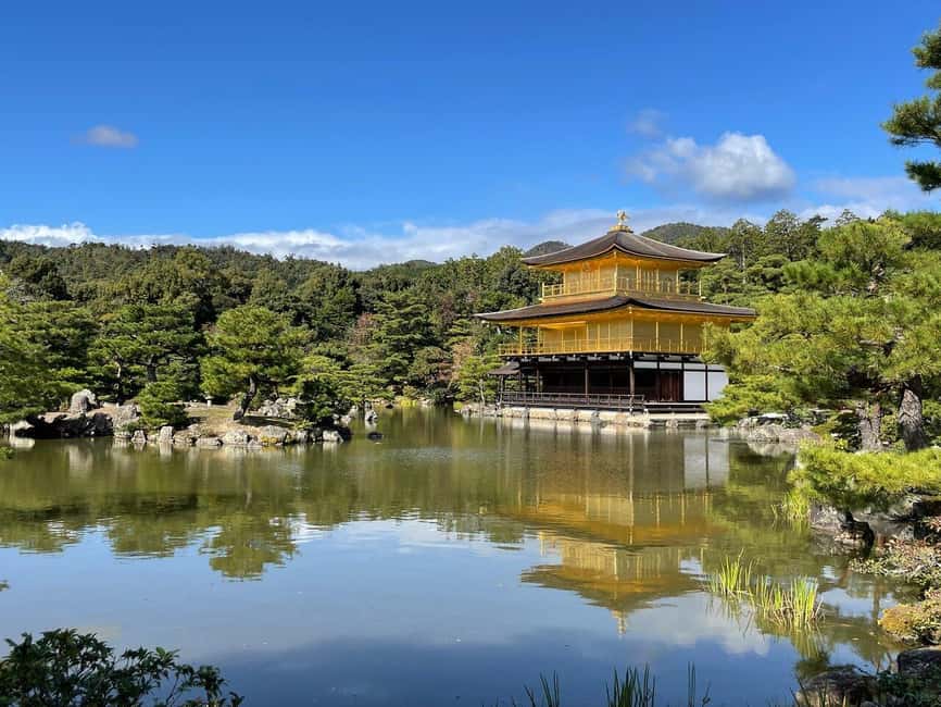 Kyoto & Nara Private Customized, Guided Tour - Pickup, van comfort, and what the schedule really looks like