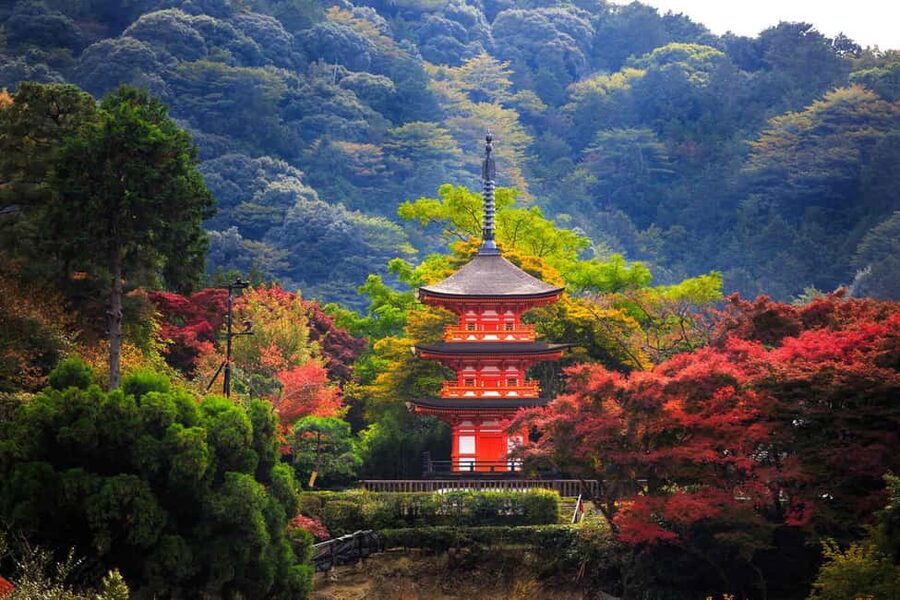 Kyoto & Nara Private Customized, Guided Tour - How the guide experience can vary (and how to get the best version)