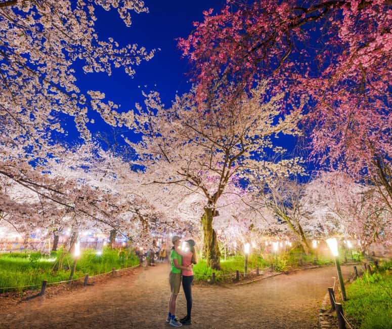 Kyoto & Nara Private Customized, Guided Tour - Who this tour is best for