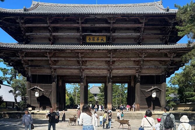 Kyoto & Nara: Private Day Tour by luxury Vehicle & English Guide - Kyoto Station pickup, then a real private-day pace