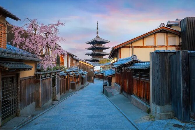 Kyoto & Nara: Private Day Tour by luxury Vehicle & English Guide - Nara Park deer time, plus the sense of stepping back