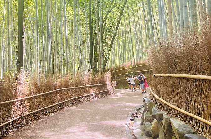 Kyoto & Nara: Private Day Tour by luxury Vehicle & English Guide - Todai-ji and the Great Buddha: a powerful finish in Nara