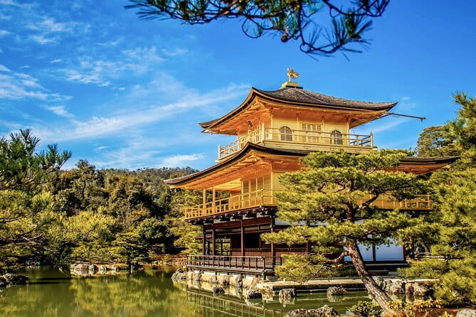Kyoto&Nara Private Highlights Tour with English driver Pickup - Fushimi Inari Taisha: Torii Gates, Good Shoes, and Best Timing