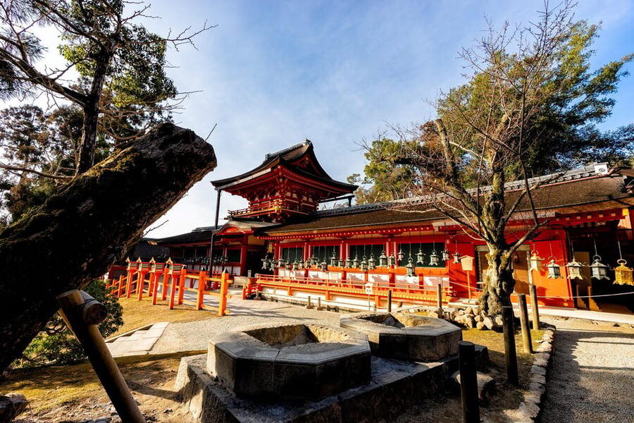 Kyoto: Nara, Todaiji, Kasuga Taisha Shrine Private Full Day - Key Highlights Worth Noting