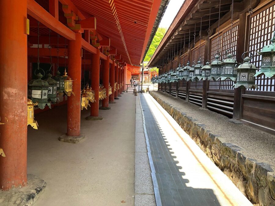 Kyoto: Nara, Todaiji, Kasuga Taisha Shrine Private Full Day - Todaiji Temple: The Great Buddha Experience