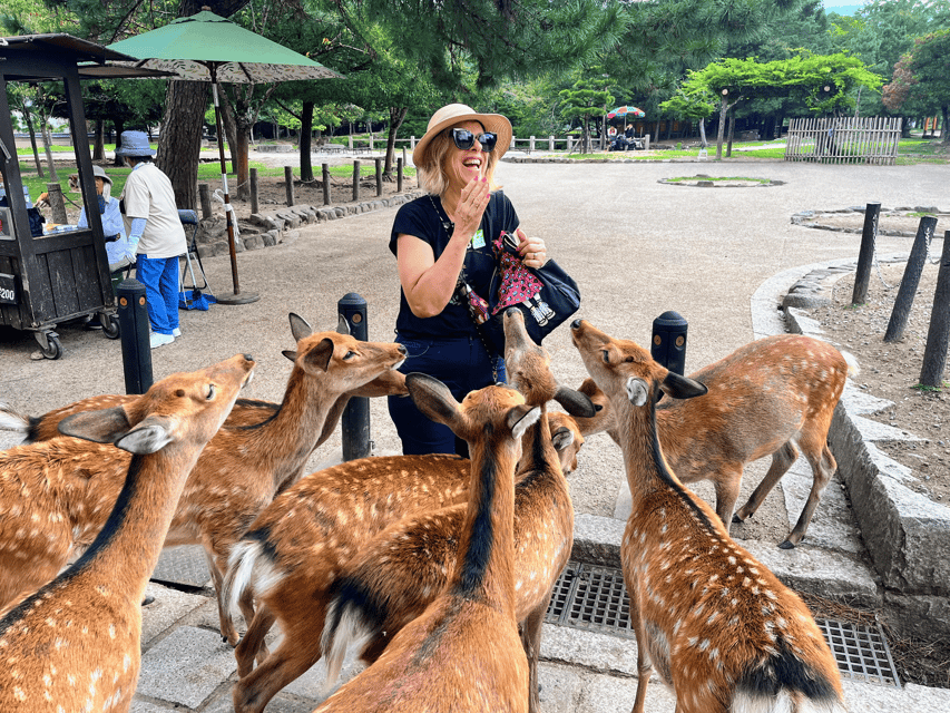 Kyoto: Nara & Traditional Matcha Experience Bus Tour - A Smooth Nara and Uji Day Trip from Kyoto Station