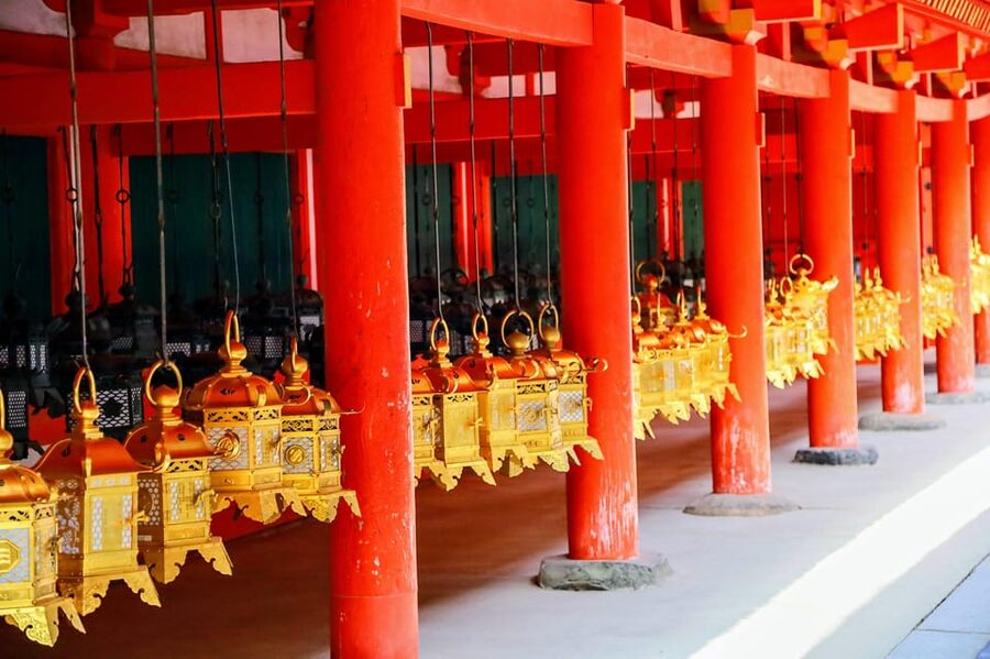 Kyoto: Nara & Traditional Matcha Experience Bus Tour - Nara Park Deer Time, with a Realistic Heads-Up