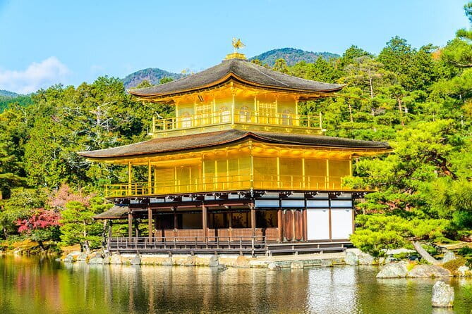 Kyoto Night Walking Guided Tour at Fushimi Inari Shrine - Weather, pace, and what to prepare for