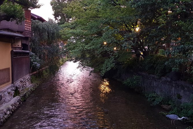 Kyoto Nighttime All-Inclusive Eats and Streets, Gion and Beyond - Second dining stop near 9:00: another vetted spot, another drink, more food