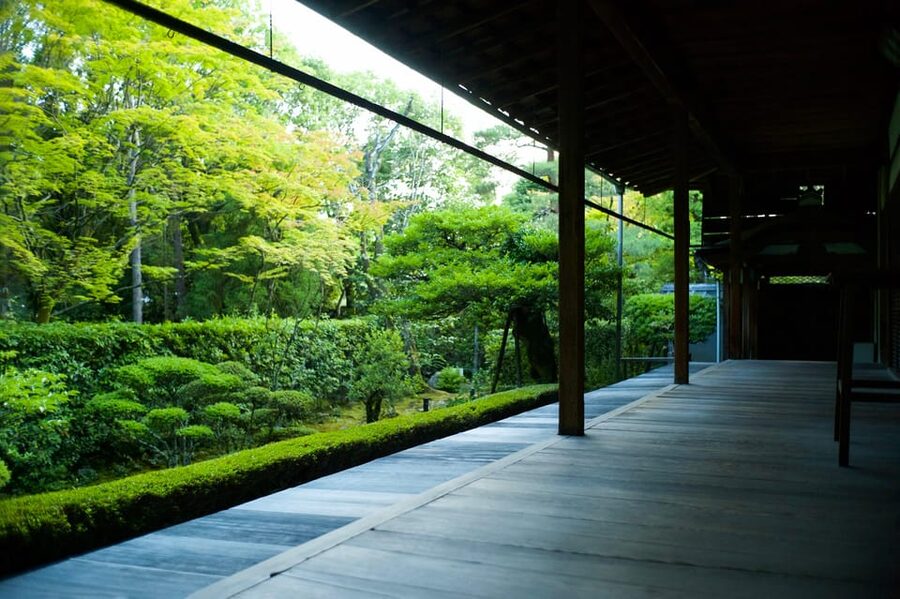 Kyoto: Nighttime Zen Meditation and Matcha Tea Experience - Key things that make this Kyoto night session special