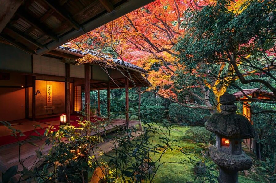Kyoto: Nighttime Zen Meditation and Matcha Tea Experience - Keishunin Temple, in Kyoto’s bigger Myoshinji family