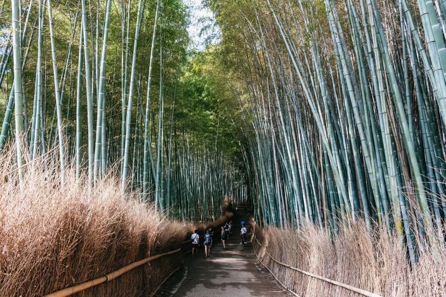 Kyoto: Nijo Castle, Kiyomizu & Fushimi Inari Guided Tour - Price and Value: What $54 Buys You (and What It Does Not)
