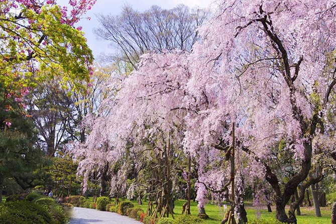 Kyoto: Nijo Castle World Heritage Guided Tour with Admission - Inside the 1 hour 30 minutes: what the guide helps you notice