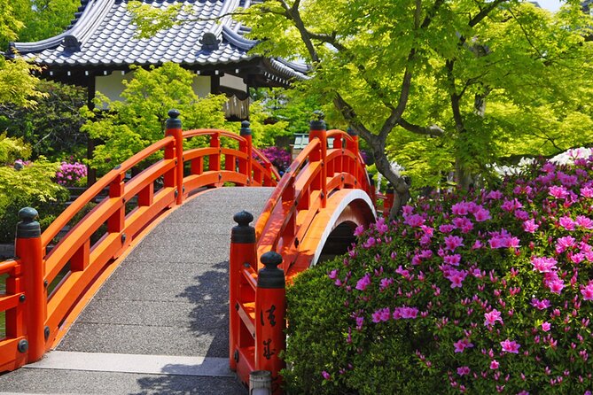 Kyoto: Nijo Castle World Heritage Guided Tour with Admission - The photogenic stops: when the guide saves your camera roll