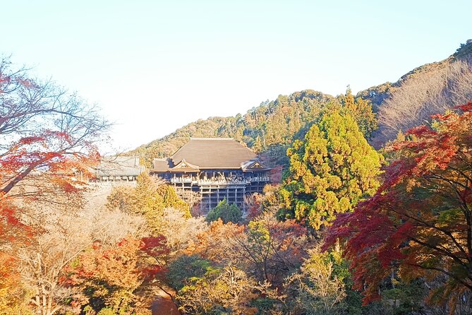 Kyoto Off The Beaten Path: Hidden Zen Garden & Magical Shrine - Why the off-the-main-route pace actually helps in Kyoto