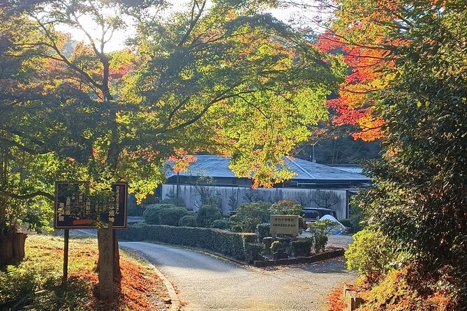 Kyoto Off The Beaten Path: Hidden Zen Garden & Magical Shrine - Practical tips before you go (so the walk stays enjoyable)