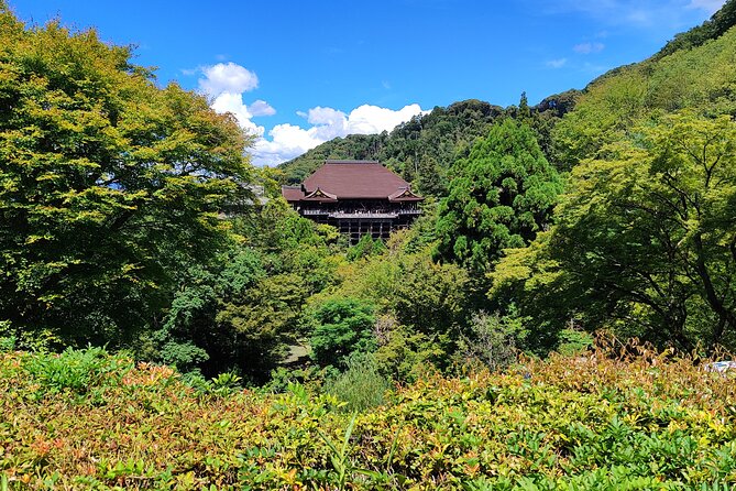 Kyoto Off The Beaten Path: Hidden Zen Garden & Magical Shrine - Should you book this Kyoto off the beaten path tour?