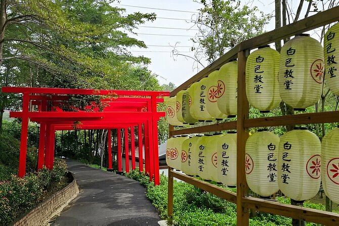 Kyoto, Osaka and Nara Customized Private Car tour - Nara Park deer time, and how to enjoy it safely