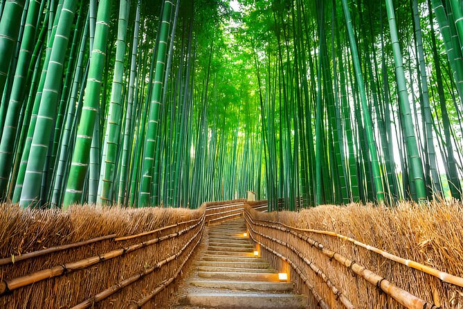 Kyoto, Osaka and Nara Customized Private Car tour - Arashiyama district time, where the day starts to feel Kyoto